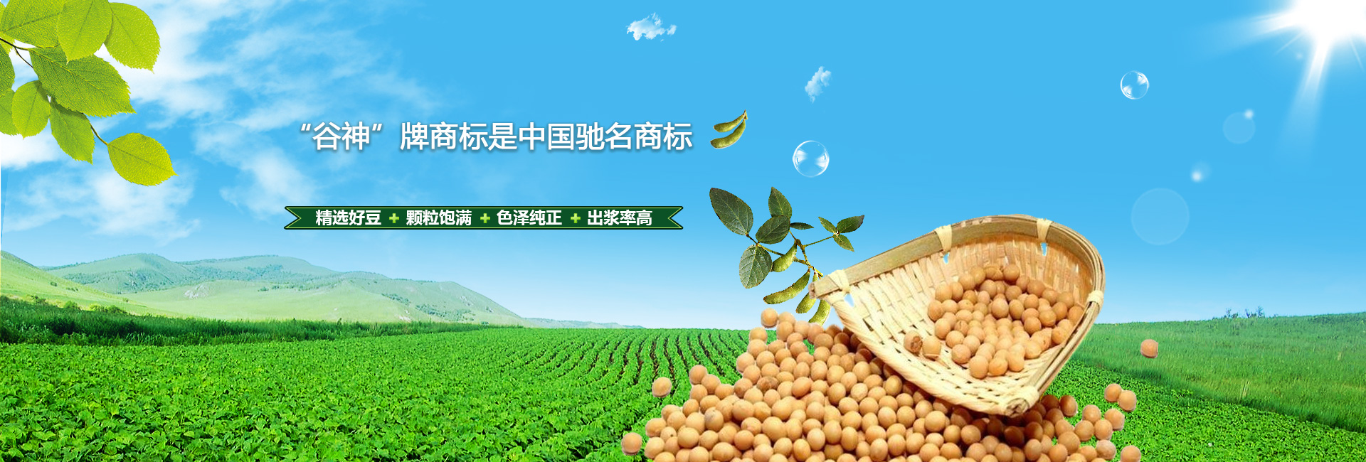 bob综合体育官网